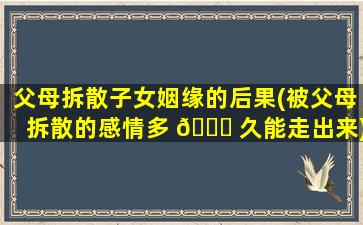 父母拆散子女姻缘的后果(被父母拆散的感情多 💐 久能走出来)